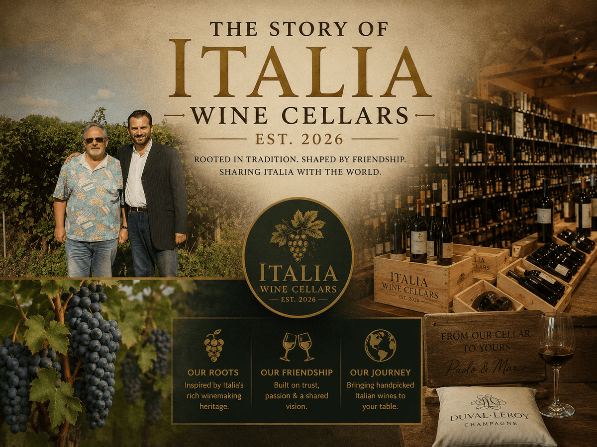 Primitivo wines from Southern Italy featured at Italia Wine Cellars, showcasing tradition and passion.