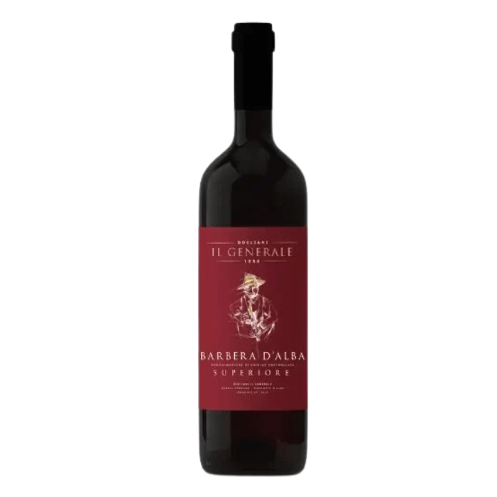 Bottle of Barbera d’Alba DOC Superiore, featuring rich aromas and elegant taste.