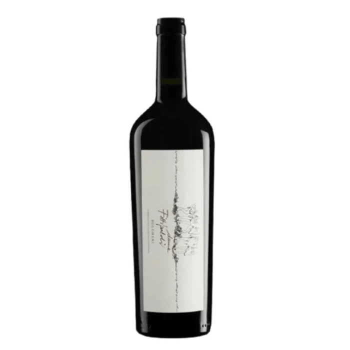 Bottle of Donne Fittipaldi Bolgheri Classico DOC, a premium Bolgheri red wine with elegant garnet reflections.